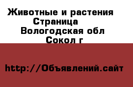  Животные и растения - Страница 19 . Вологодская обл.,Сокол г.